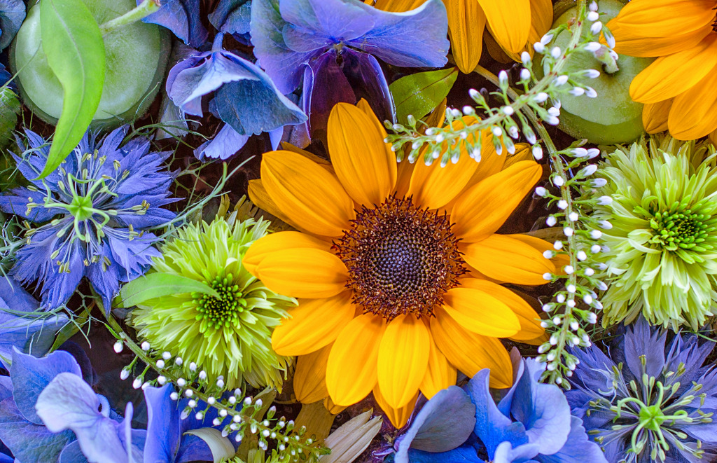Flowers and Fruits Floating on Water jigsaw puzzle in Flowers puzzles on TheJigsawPuzzles.com