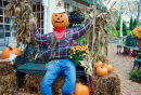 Mr. Pumpkin's Fall Retreat