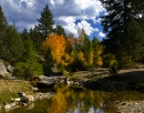 Autumn Jordan Creek