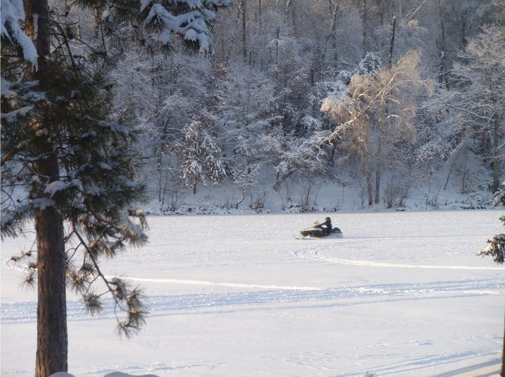 Winter fun jigsaw puzzle in Judy Reme puzzles on TheJigsawPuzzles.com