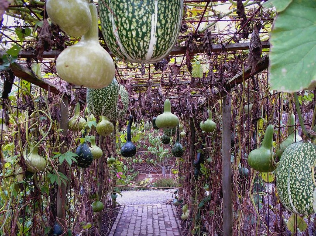 Hanging Vegetable Garden jigsaw puzzle in Fruits & Veggies puzzles on TheJigsawPuzzles.com