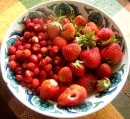 Midsummer Berries