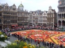 Flower Carpet, Brussels
