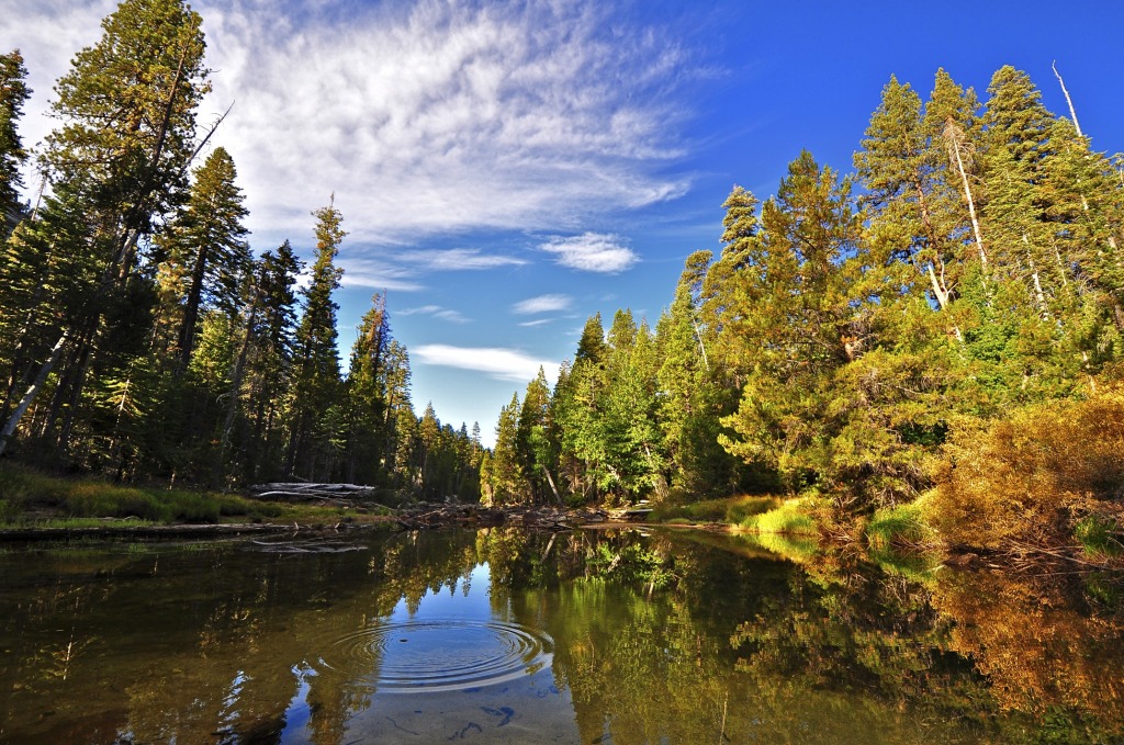 Merced River, Yosemite NP jigsaw puzzle in Great Sightings puzzles on TheJigsawPuzzles.com