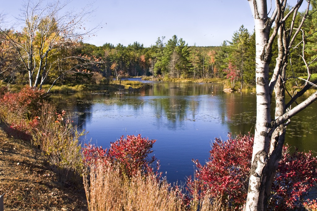 Wallace Pond jigsaw puzzle in Пазл дня puzzles on TheJigsawPuzzles.com