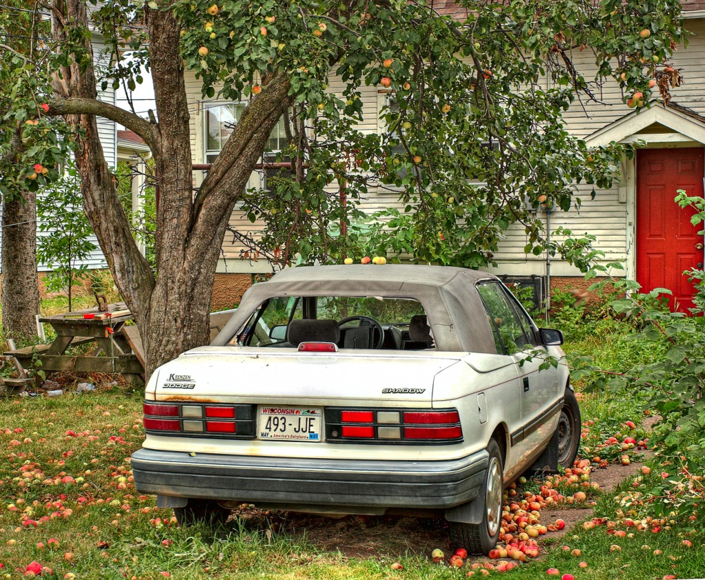 Don't Park Under the Apple Tree jigsaw puzzle in Puzzle du jour puzzles on TheJigsawPuzzles.com