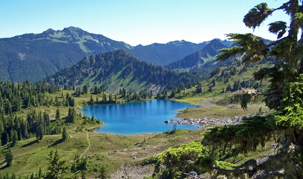 Olympic National Park jigsaw puzzle in Great Sightings puzzles on TheJigsawPuzzles.com